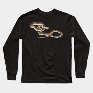 serpent,cobra,reptile,viper,venom,lizard,rattlesnake,king cobra Long Sleeve T-Shirt